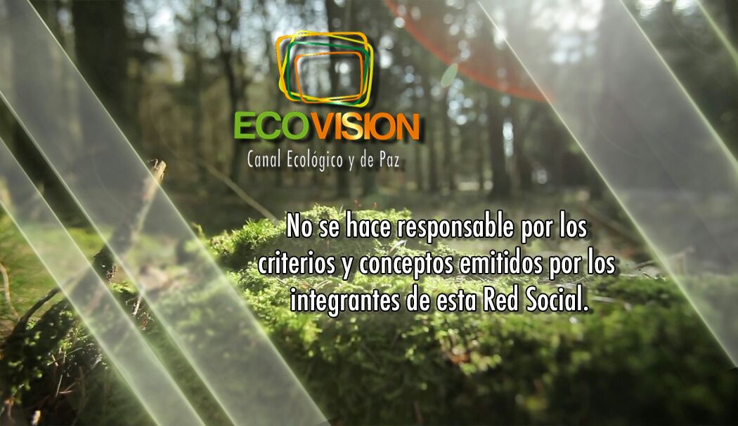 ECOVISIÓN tweet media