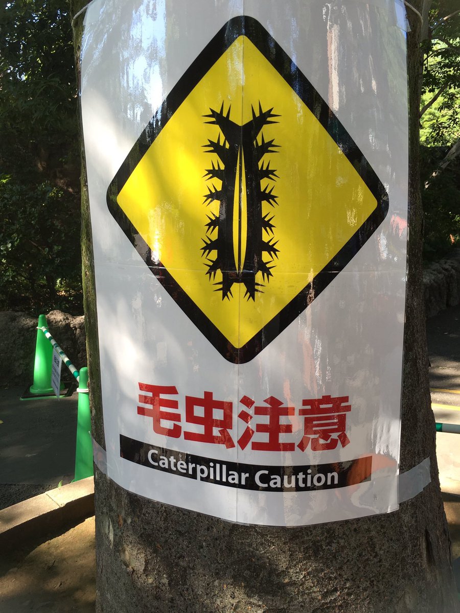 Tommy Oueaae Twitter