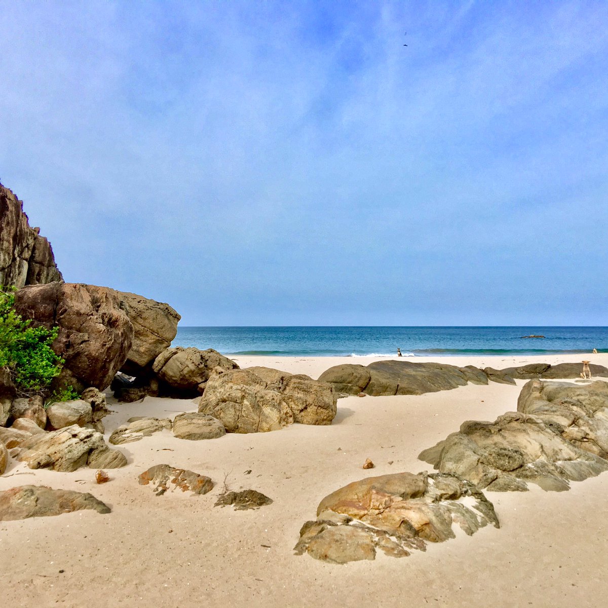 feelslholidays's tweet photo. #Beautiful #kuchchuveli #beach .... with one of my friends.
#srilanka #srilankatravel #eastcoast #lka #friends #travelgram #trincomalee https://t.co/mD42kM8pAa