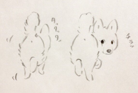前を歩くワンコがこっちを気にして度々振り返るの可愛い 