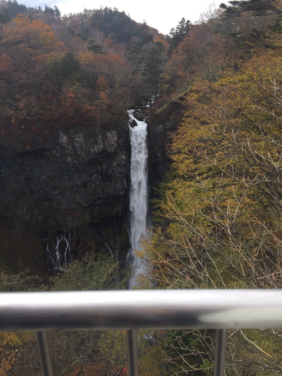 0513Fyuki's tweet photo. 昨日は約10年ぶりに日光行ってきたー！紅葉がとても綺麗でした。淳運転おつかれさま♪( ´▽｀) https://t.co/8nxaSkLAZe