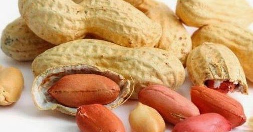 ZimbabweFarming's tweet photo. How to grow groundnuts - the full groundnut farming guide for beginners https://t.co/R6GpAUi7Sz https://t.co/bOBIw6Xzih