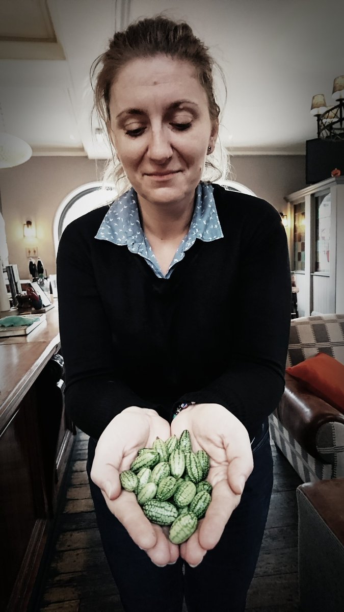 The tiniest part of the #Autumn Hamper!  #cucamelons #happywithoneinch #itsnotthesizethatmatters 🌰🍁🍃🍂🌻