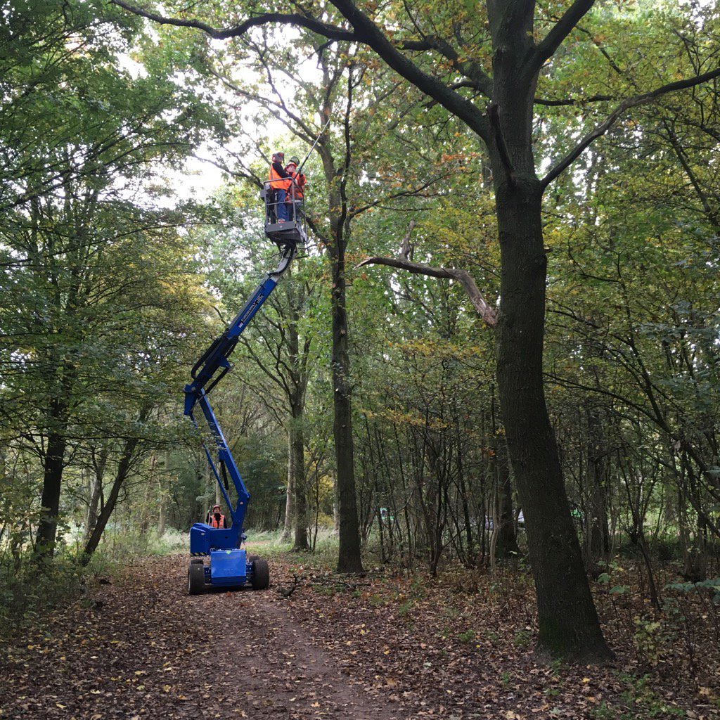 Hard werken op hoogte #heiloo