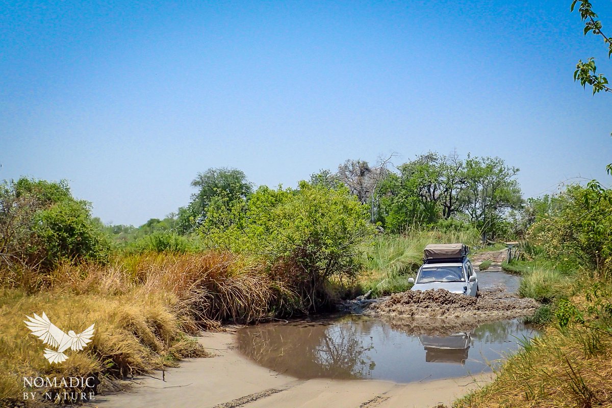 Is #Kasane to #Maun to best #safari #adventure in #Africa? #lostinbots #travelguide #travelblog #afritravel #ttot bit.ly/2eFptvX