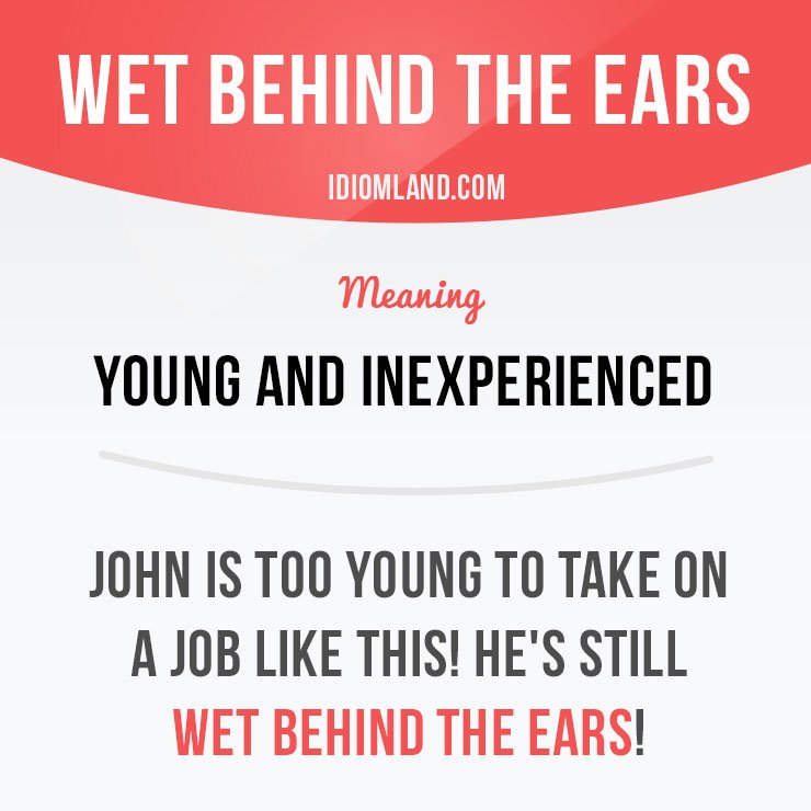 Idiom Land On Twitter Wet Behind The Ears Means Young And Inexperienced Get Our Apps For Learning English Https T Co El5f11iexc Idiom Idioms English Https T Co Dd2xhkz7wp Twitter