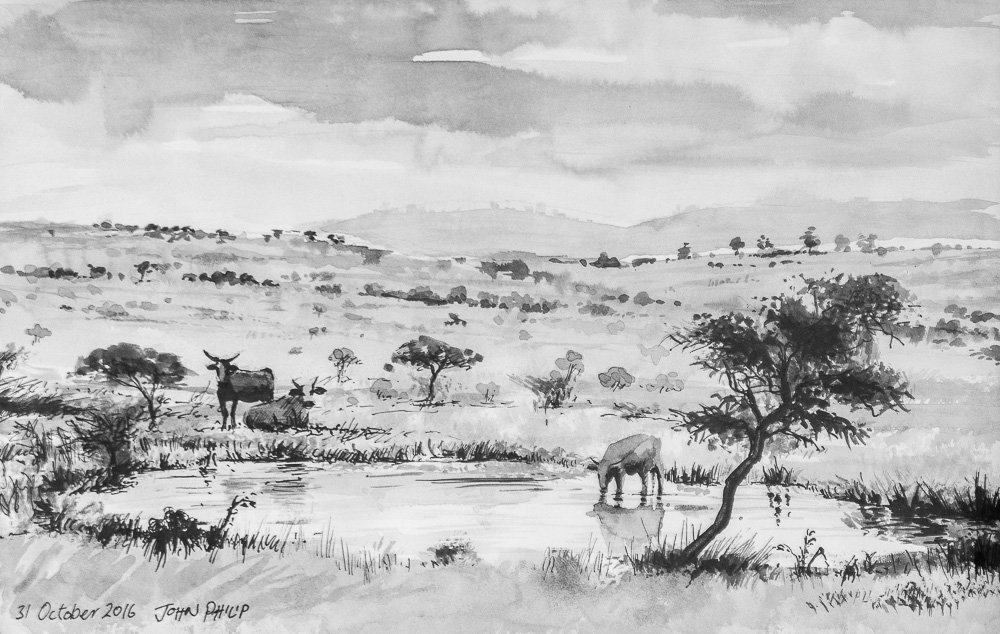Day 31 - Landscape with cattle
#inktober #inktober2016
johnphilip.co.za/?p=1461
A summary of the month is up here: johnphilip.co.za/tag/inktober20…