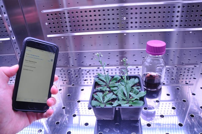 temokvoice's tweet photo. #BombSniffing #BionicPlants Could Look for Pollution...
https://t.co/GXwWqhtoeK https://t.co/ypiUf9LweM