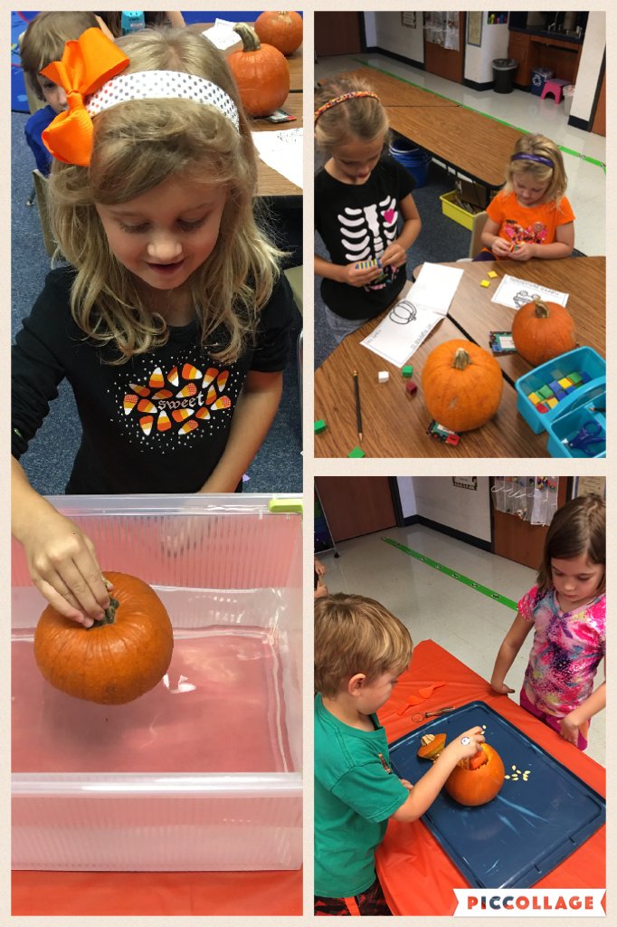 greenKwalzel's tweet photo. Pumpkin Investigations🔎📝
Will it sink or float? How many seeds are inside? Using ou https://t.co/VD8owGNzD3 https://t.co/Y5h3AE8MO8