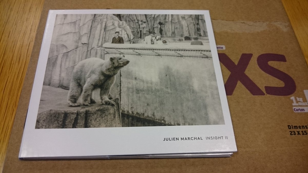 PaulMaraIreland's tweet photo. It arrived! :-) @julienmarchal #InsightII #JulienMarchal https://t.co/1r9agdWXUt