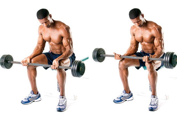 TheBoxTurkiye's tweet photo. Ön kol kasları için sadece biceps hareketlerini yapmanız yetmez; https://t.co/fRrtbPBd0m https://t.co/aidEGWeIpz