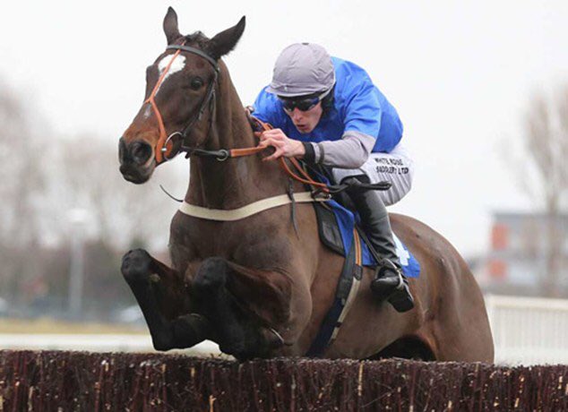 Johnboystips's tweet photo. New month new stats one online @Johnboystips today @ExeterRaces get involved! https://t.co/S55ZnIWBps
