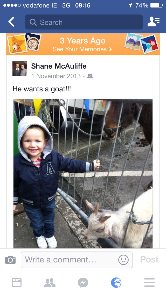 Shane McAuliffe 🐷✈️ tweet media