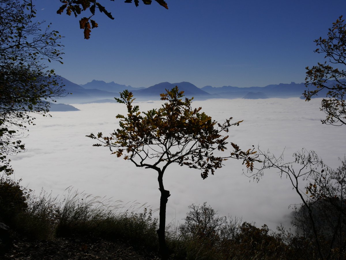 Fred_Dorville's tweet photo. La mer de nuages au-dessus de #Grenoble ce matin. #Chartreuse #SaintEynard #nofilter #nosaturation poke @VieAGrenoble ;-) https://t.co/9XnwLkrcN9