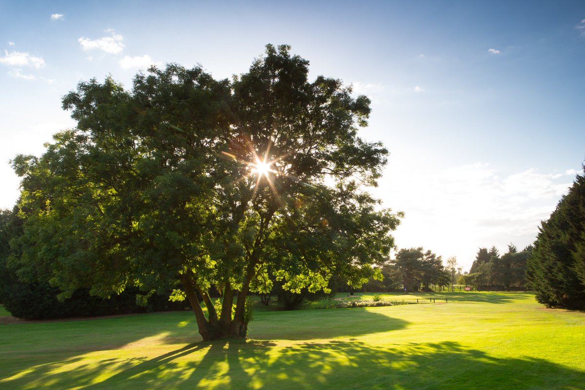 WexhamParkGolfC's tweet photo. Recent course pics from Wexham - come down and see the club for yourself :) #stunningcourse #golf #winningdinner #sunset https://t.co/koW4pRc4Tx