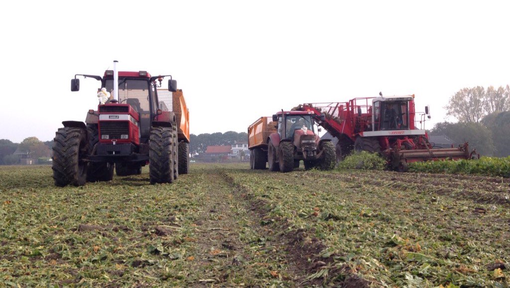 De bieten op #KleinTiengemeten worden gerooid met <a href="/Leen_Vos/">Leen Vos</a> en ome Jaap #TheBeetGoesOn