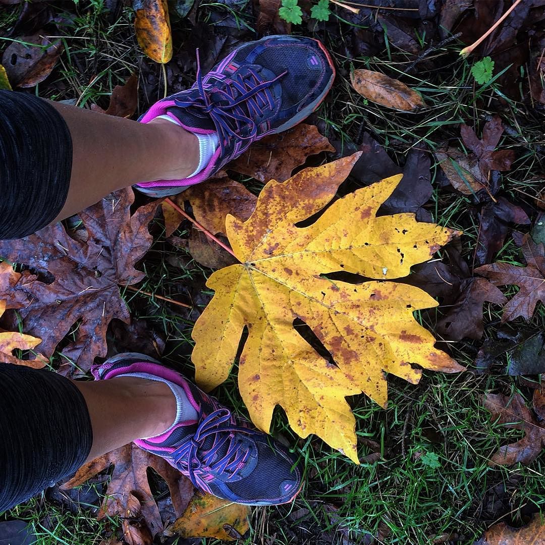 GlbetrotterGrls's tweet photo. Rainy run in Seattle #autumn🍁 #autumn🍁🍂🍃 #autumnleaves #autumncolors #fallvibes #autumninseattle #pnw #seattle #seat… https://t.co/wLxgOOXabd