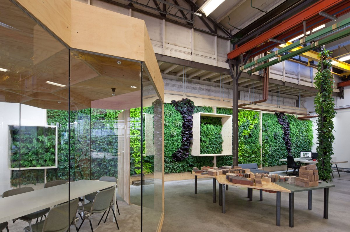 Wow great photos of <a href="/GreenFortuneNL/">Green Fortune NL</a> Epifyt Office greenfortune.nl/blog/green-for… in our old factory <a href="/111Amsterdam/">Workspace 1-1-1</a>.