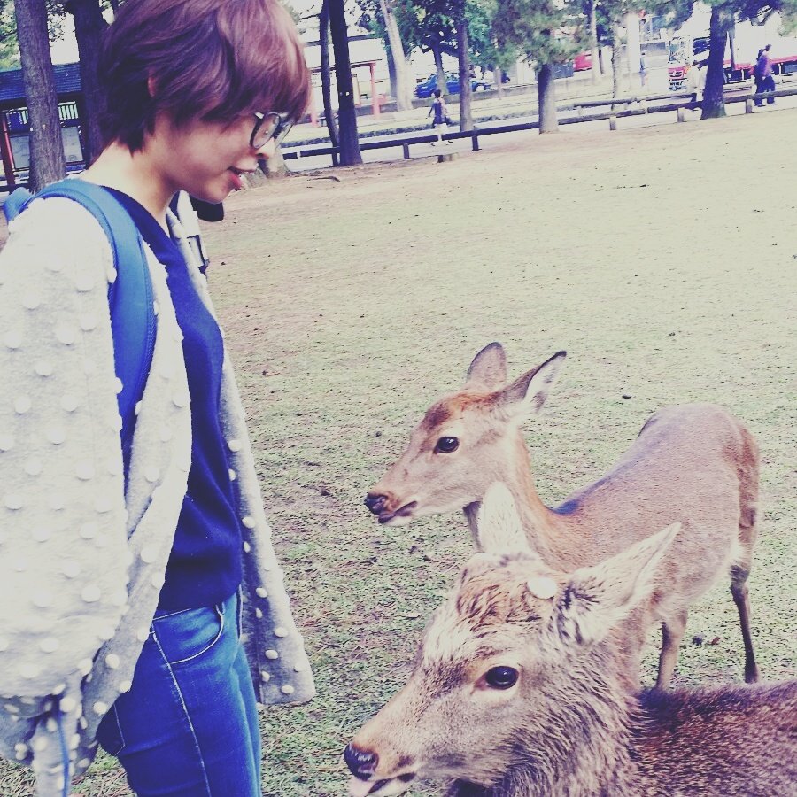 uyu_54's tweet photo. 鹿迫る https://t.co/LGVLlAze4d