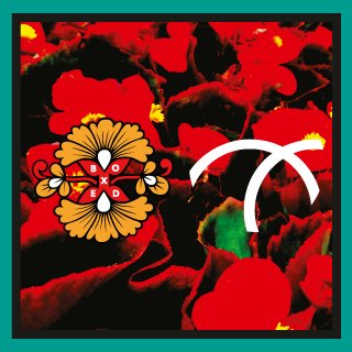 A quick barring instrumental 'Lolingo - Bouncers' presented by @BoxedLDN soundcloud.com/boxedldn/lolin…