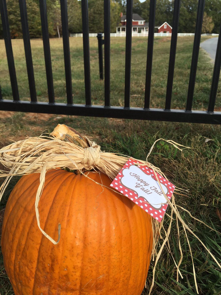 OldMillIron's tweet photo. Thankful for our October Customers! #happyfallya'll @OldMillIron https://t.co/PjMRjU7hXx