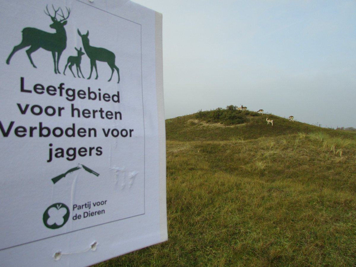 Ziegel Ziegelaar (Ziegel) Twitter