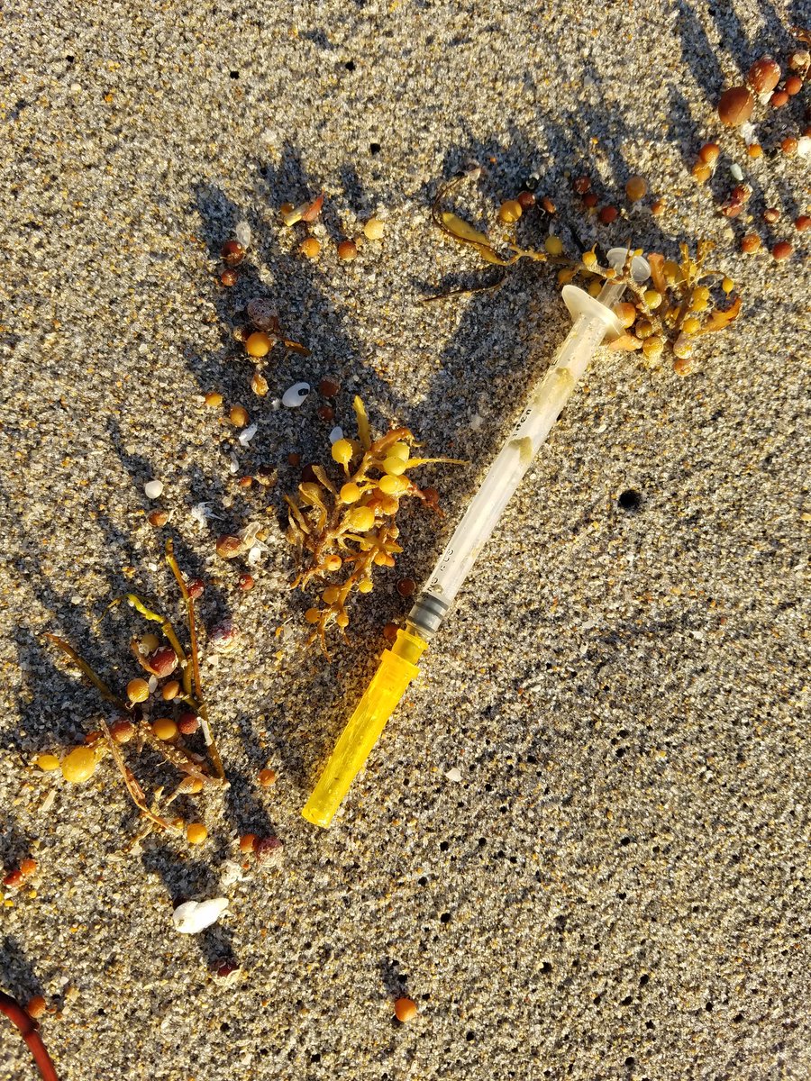 Heroin is not just an issue at Spanish River Beach. Opioid addiction affects all of Palm Beach County and South Florida