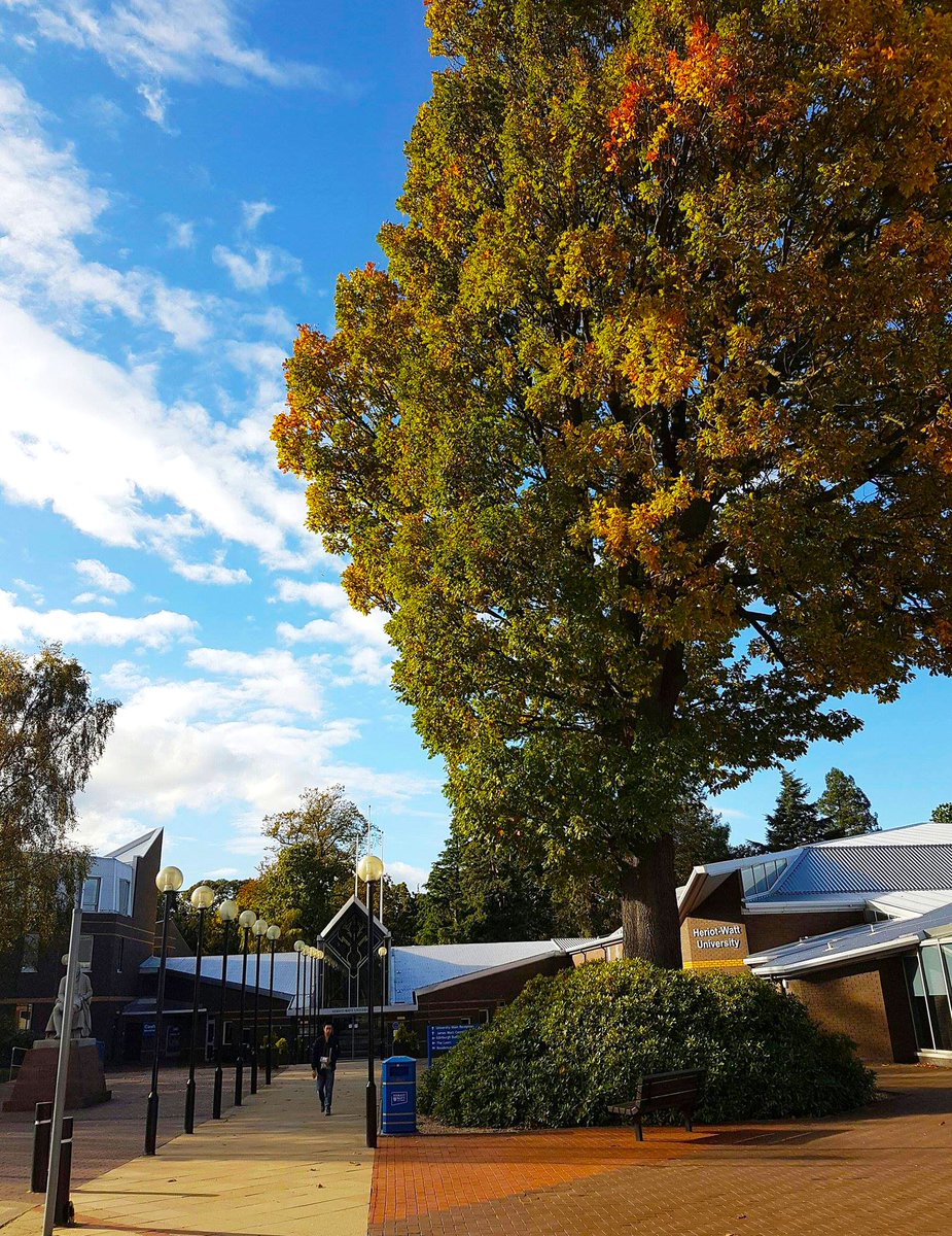 heriotwatt_soss's tweet image. What a difference 2 weeks makes at @HeriotWattUni Edinburgh! Perfect time of year to stroll between lectures and consider #IdeasandSolutions