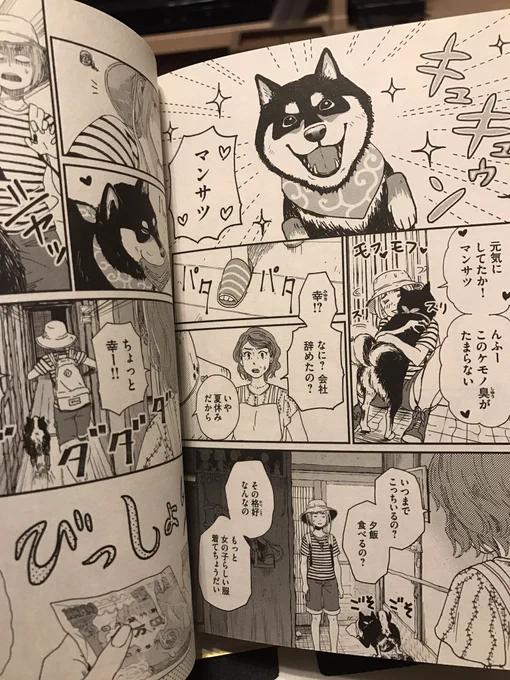 「アニメタ!」はアニメーターのお仕事漫画ですが地味に柴犬を推して参る漫画です(*'ω`*)ボールで遊ぶ時だけ笑顔の愛犬と普段は真顔の愛犬。はぁ…可愛い… 