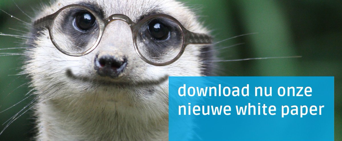 ROSRobuust's tweet photo. Krijg inzicht in de wereld achter een online #community. Download onze nieuwe @Robuust white paper: https://t.co/z0Sla0NzhT https://t.co/6JVp5EGZrz