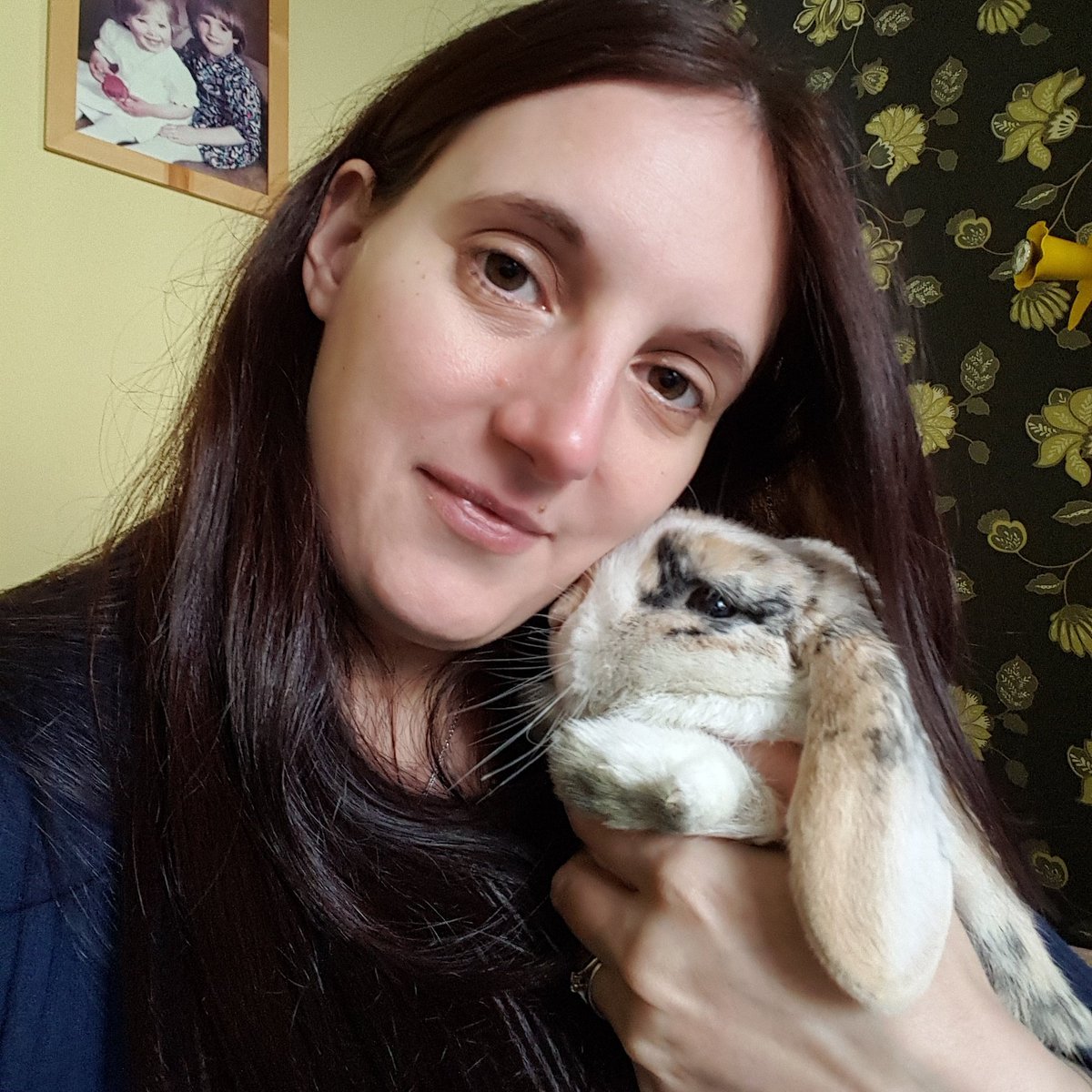 the_fluffle's tweet photo. Cuddle time ❤🐰 https://t.co/2FZBE5Tx46