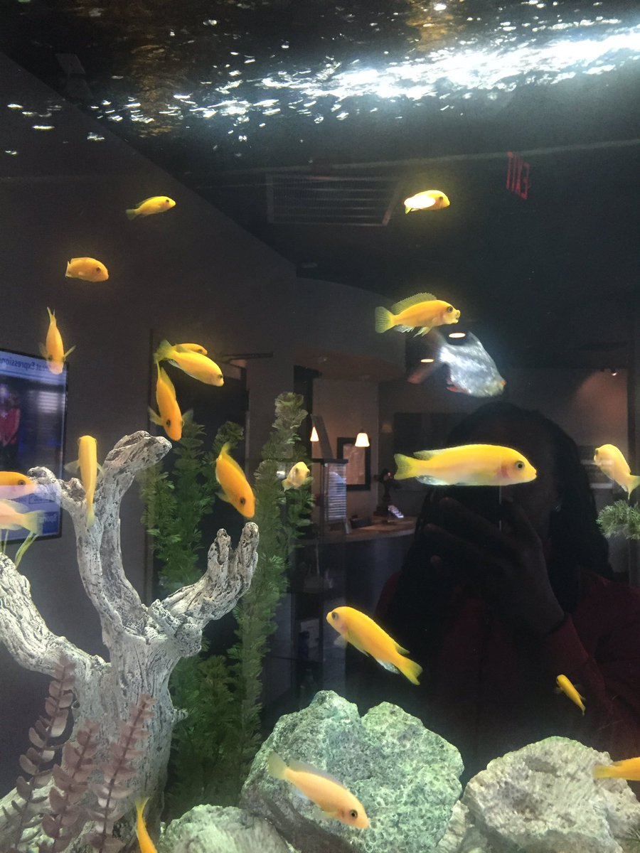 PICTUREBOYY's tweet photo. At The Dentist Office Right Now
Walk In &amp; See These Fish
First Thing Comes To My Mind... @KoreyWitaK &amp; #AquaGate 😂😂😂 https://t.co/PVpkV7ZKln