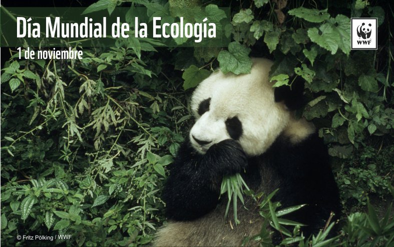 Feliz Dia mundial de la ecología