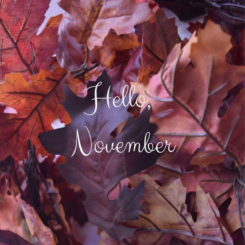 eclipseusa's tweet image. #hellonovember #fall
