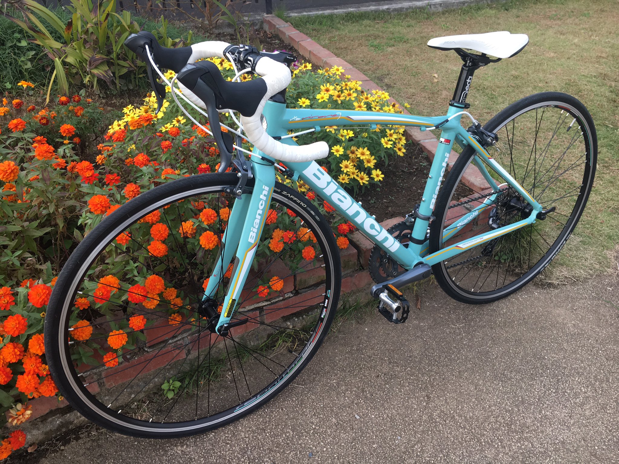 藍川ふみ 新人声優 ついに ビアンキのロードバイクを買いましたーっ 今までミニベロに乗っていたのですが ロードだと坂がとっても登りやすい 軽くてスイスイ登れちゃいます みんなと一緒に走れるようにがんばります 祝ってくれる人rt ロード