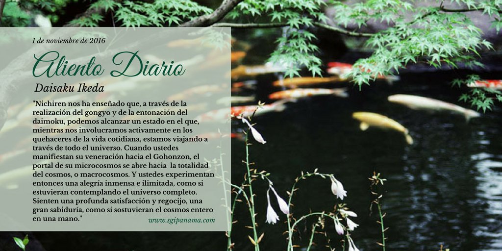 sgidepanama's tweet photo. #AlientoDiario, 1 de noviembre. #daisakuikeda #budismo #paz #cultura #educación https://t.co/Fh7C73wVps