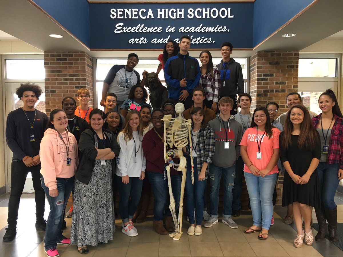 nickie_powell's tweet image. Anatomy students did a great job using dimensional analysis to build their class skeleton! #aandp #mathinscience