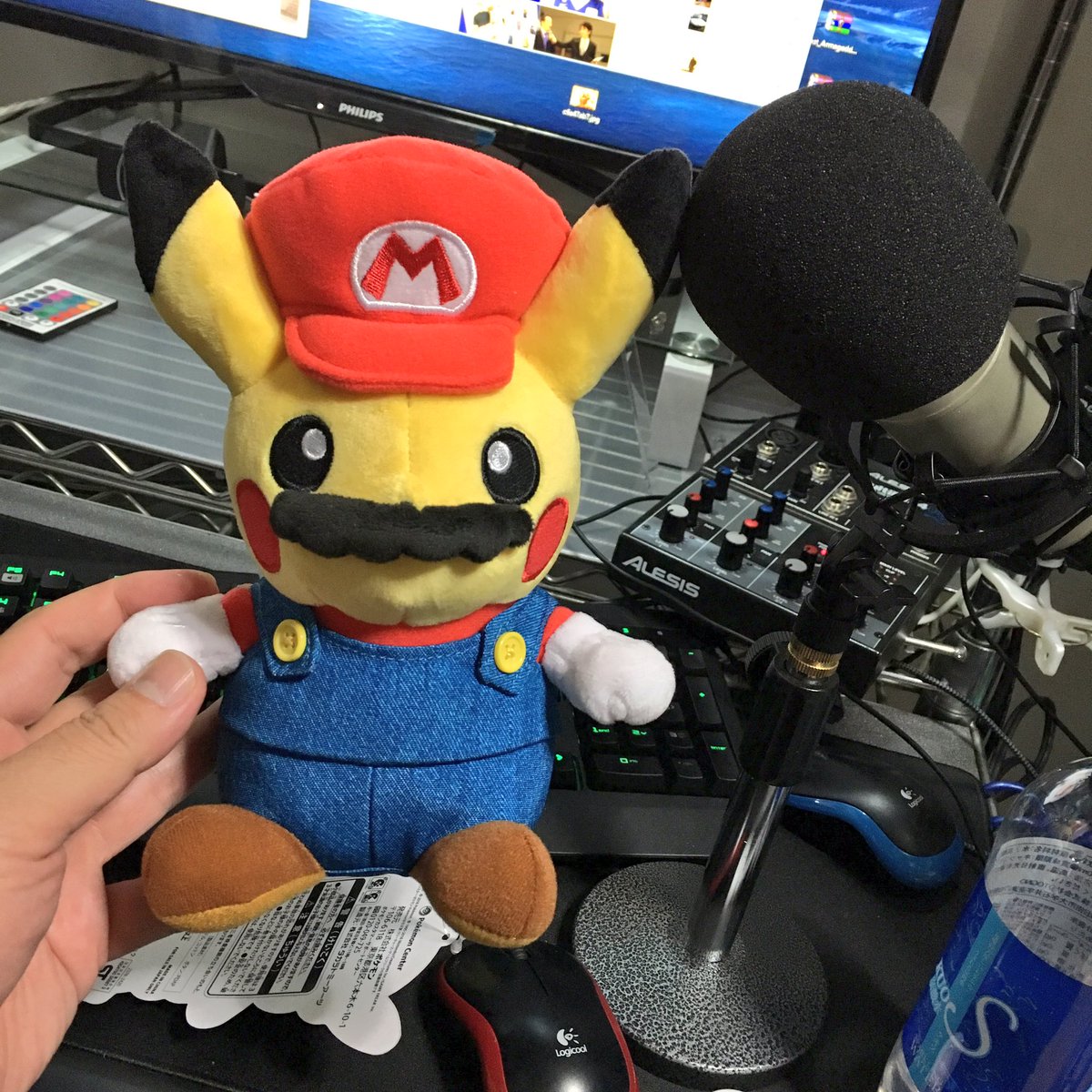 マリオピカチュウ ルイージピカチュウぬいぐるみ買ってきた W ポケモン情報ねっと