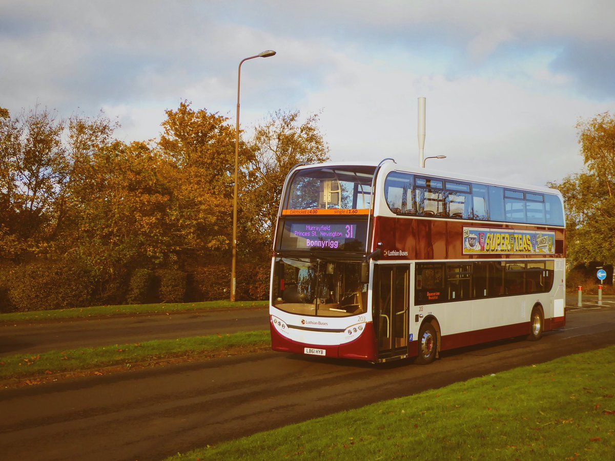 Barberstig's tweet image. Despite #poorlighting @on_lothianbuses 203 at East Craigs on route 31 today. #autumn #ukbus