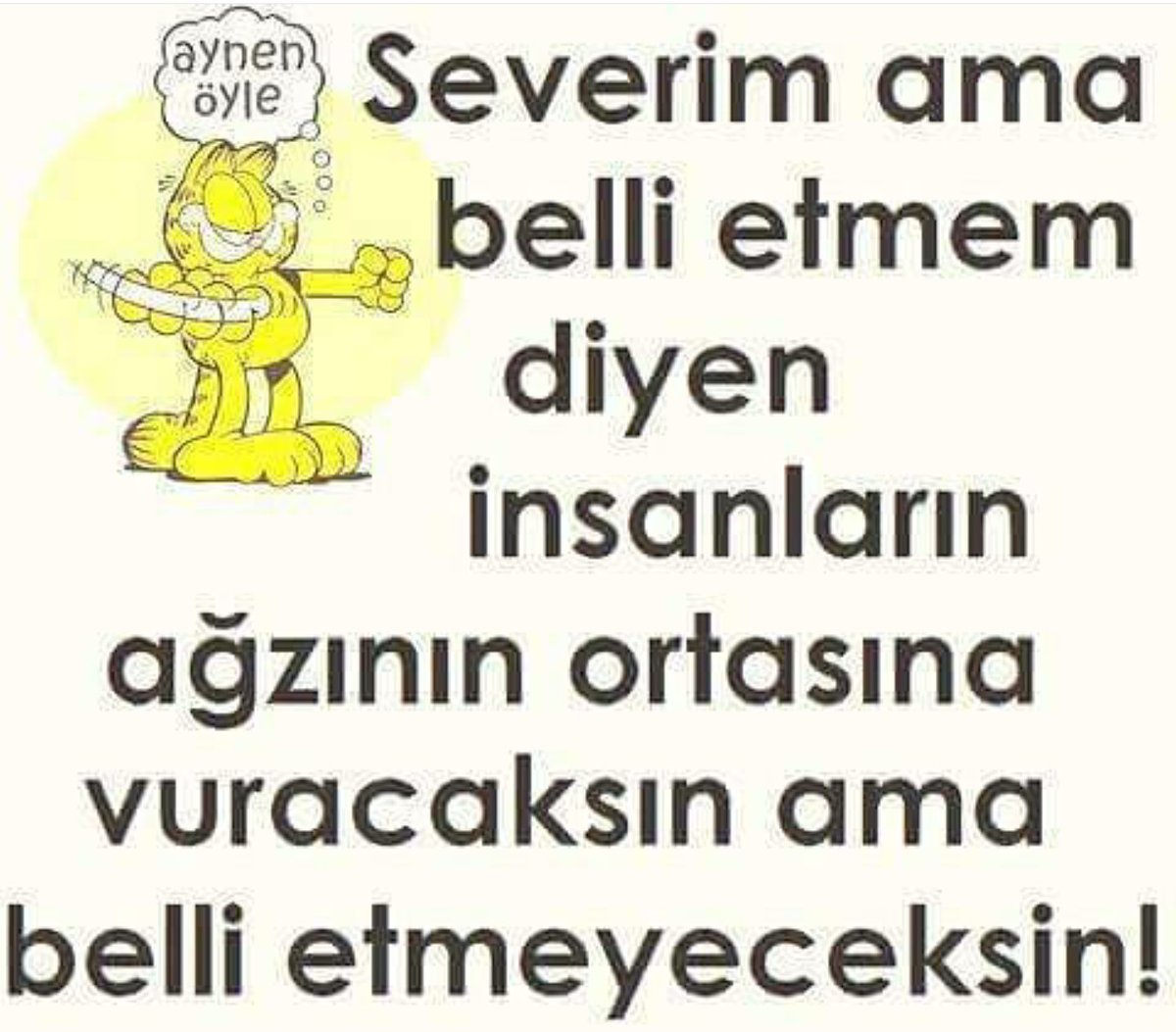 denizgibi (@ygtdnztlg) on Twitter photo 