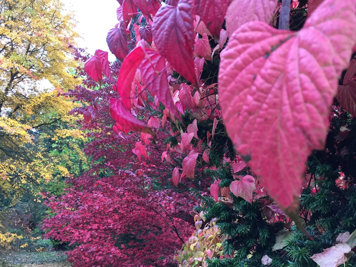 Into November and the colours still look amazing!