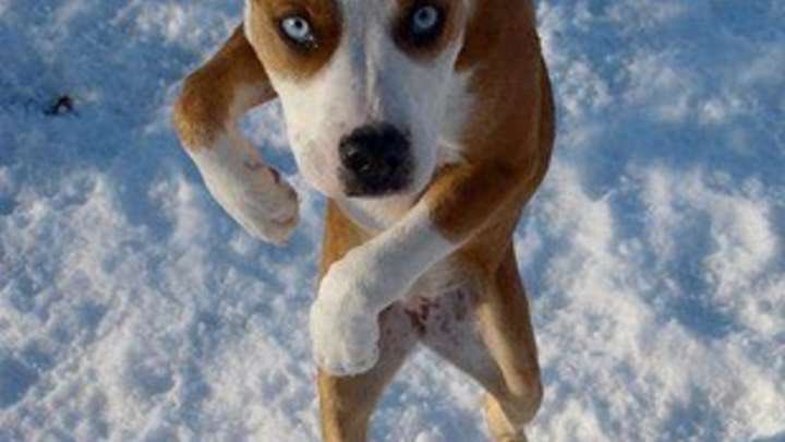 Macho972's tweet photo. J'arrive sur @LBS_Radio comme ça pour la #MixTemptation #LbsRadio https://t.co/DKM4pp0blZ