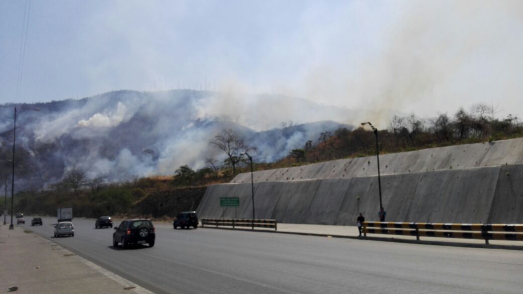 el_telegrafo's tweet photo. #Guayaquil | Personal de división @forestalesgye de @BomberosGYE continúa trabajando en incendio forestal de Av. Perimetral. https://t.co/mUjEFwYj8t