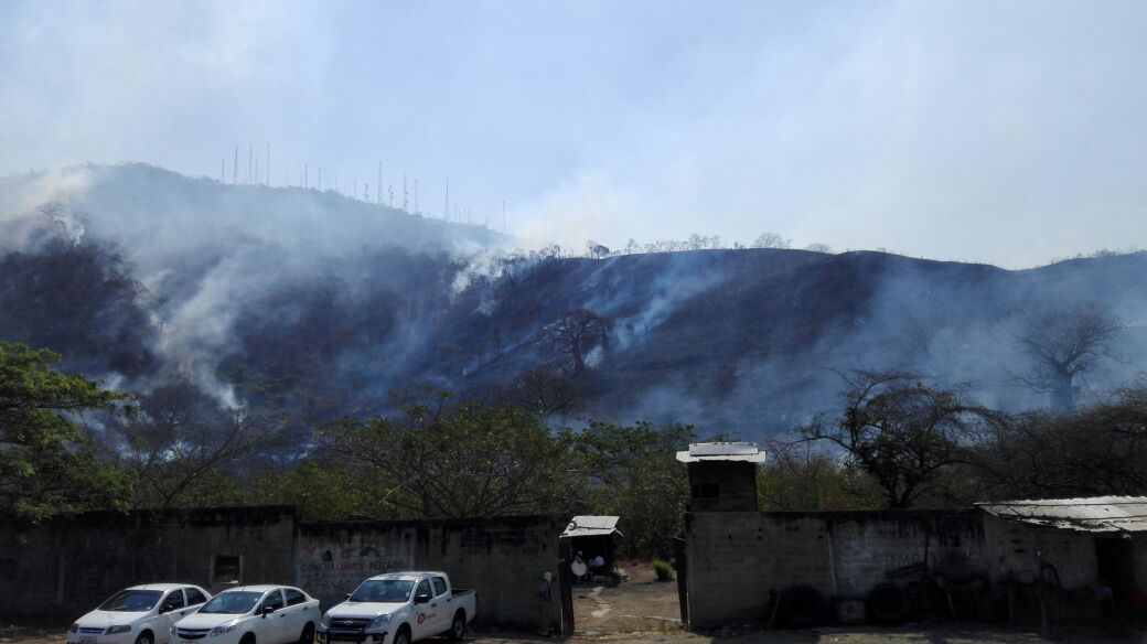 el_telegrafo's tweet photo. #Guayaquil | Personal de división @forestalesgye de @BomberosGYE continúa trabajando en incendio forestal de Av. Perimetral. https://t.co/mUjEFwYj8t