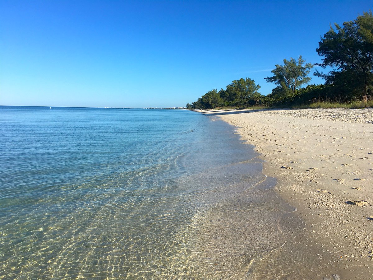 Look how beautiful the beach is in Naples! <a href="/FLStateParks/">Florida State Parks</a> <a href="/ParadiseCoast/">Florida's Paradise Coast</a> #WigginsPass #NaplesFlorida #LoveFL #SWFL #NaplesBeaches