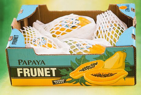 hermanosmontes's tweet photo. Otra marca de las que nos gustan, por su trabajo, su calidad y seriedad comienza a trabajar con nosotros. Bienvenida #Frunet :) https://t.co/4MRMJqW0re