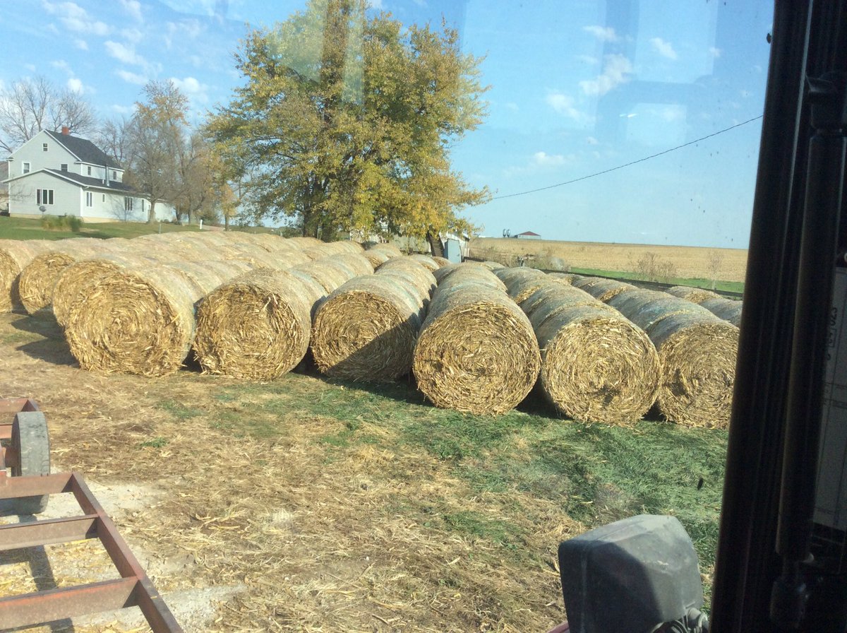 BerdoMike's tweet photo. Stalk bales βοΈ
Silos fullβοΈ
Empty lots βοΈ
Ready to receive ballers #fallrun16 https://t.co/F7Dsv8EkMd
