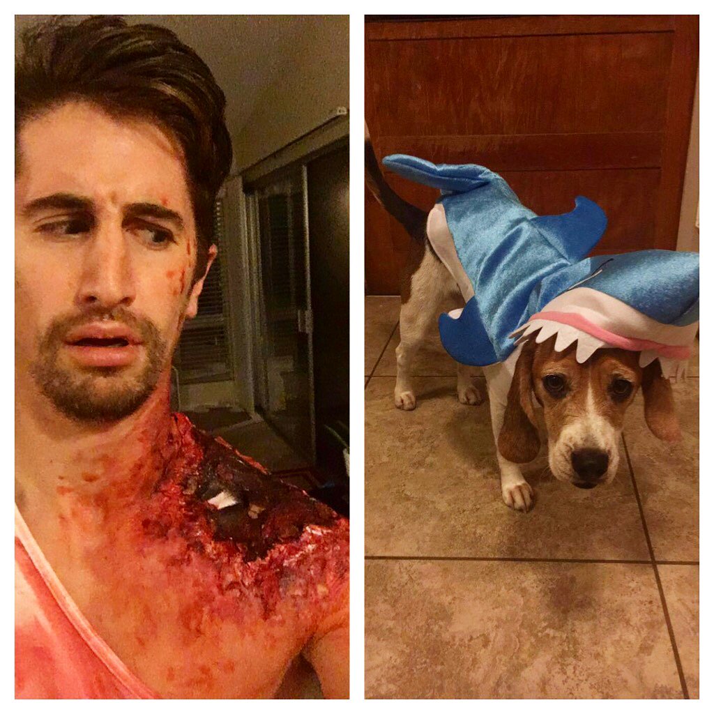 SDSU_Biomech's tweet photo. Balance deficits can be a huge issue as a surfer, especially in the unlikely event of a shark attack. Time for some yoga? #ENS611 #halloween https://t.co/Lj5bhlxZFM