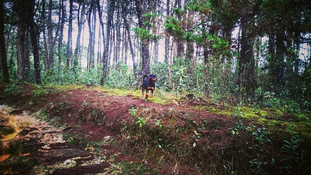 Wilmar Paredes (@wparedesz) on Twitter photo 