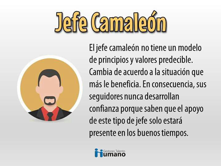 seccionalpcd's tweet photo. https://t.co/0cfpviOC2u